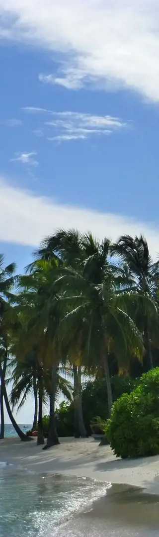 350 x 50 Meter